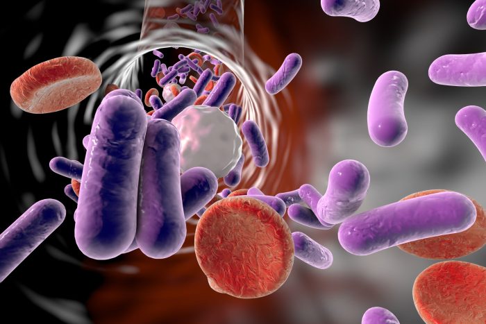 Curso Universitario de especialización en Legionella. Mantenimiento higiénico-sanitario de instalaciones de riesgo - EUNEIZ